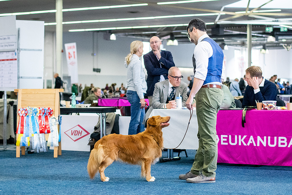 Newton steht vor dem Richtertisch, der Richter diktiert währenddessen den Bericht