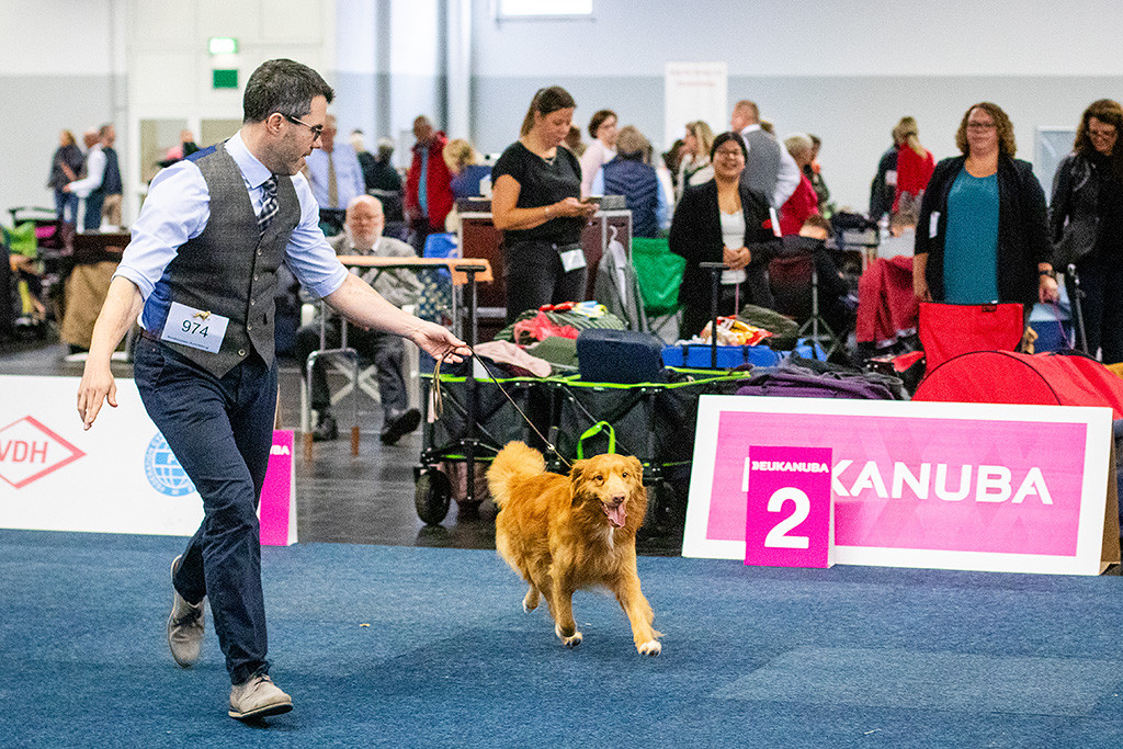 Newton läuft an Stephans Seite mit viel Drive auf der Geraden