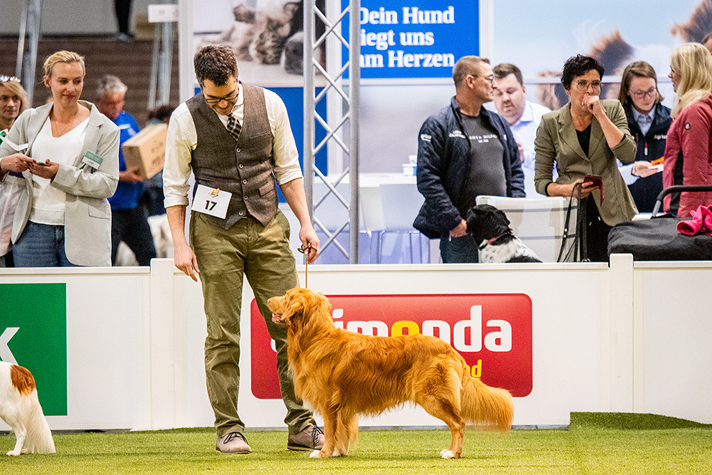 Newton steht neben dem Kooikerhondje in der Shortlist