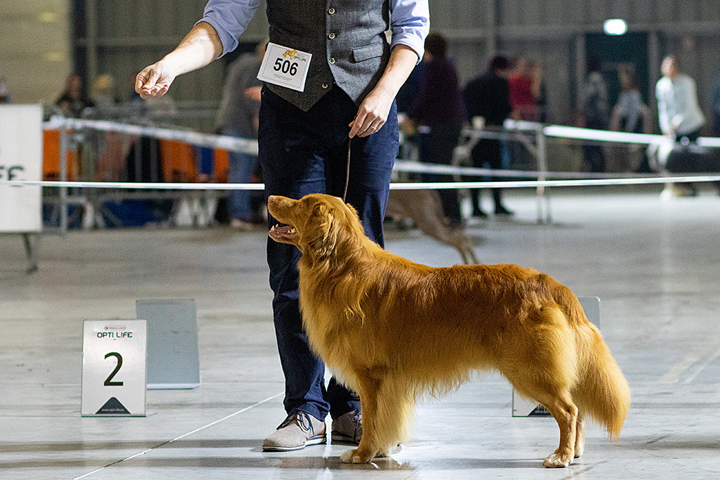 Edison steht vor Stephan in Pose