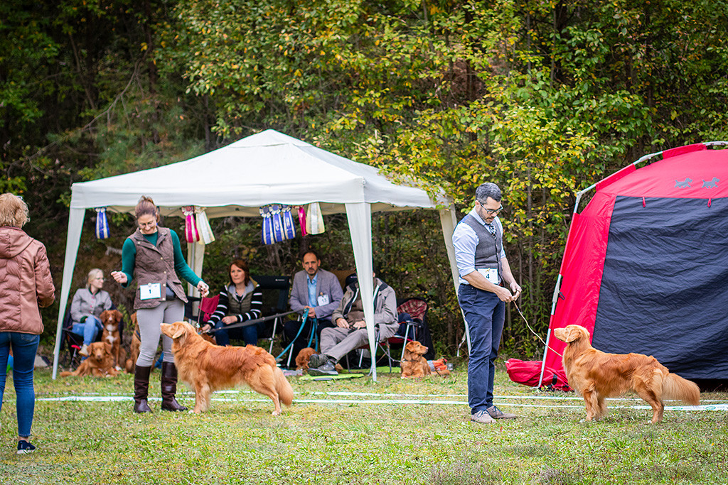 Edison steht mit Anika und Newton mit Stephan gemeinsam im Ring