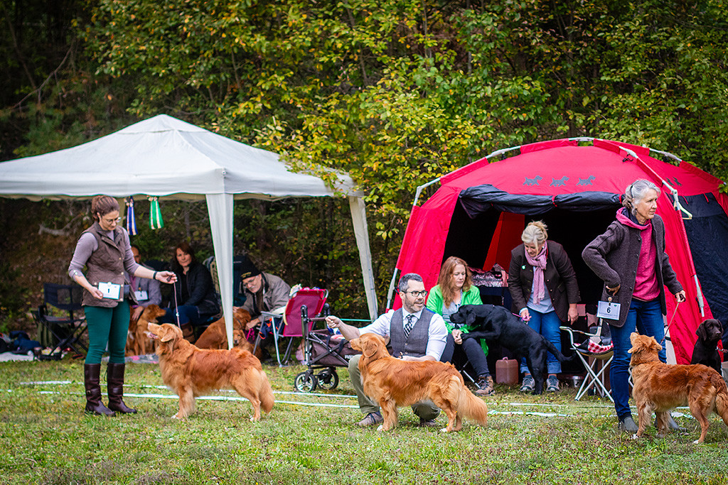 Edison steht mit Anika und Newton mit Stephan aufgereiht im Ring