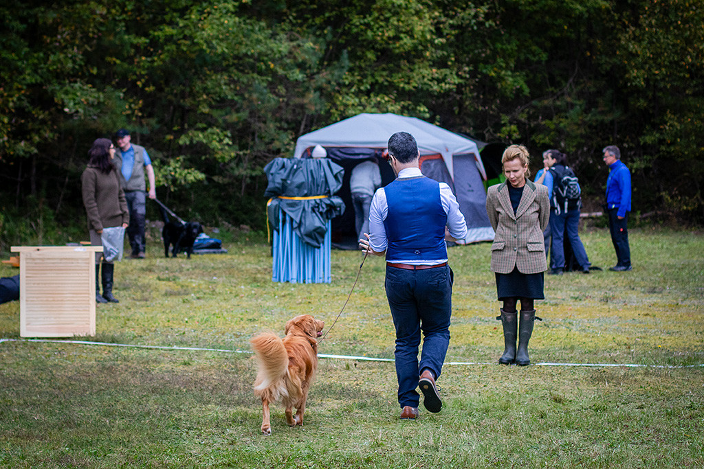 Newton zeigt sein Gangwerk auf der Geraden auf die Richterin zu