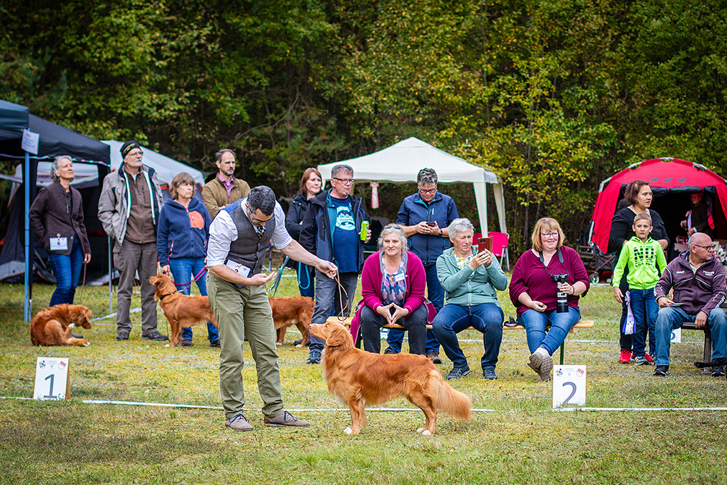 Newton steht im Seitenprofil vor Stephan, der ihn animiert um in Pose zu stehen