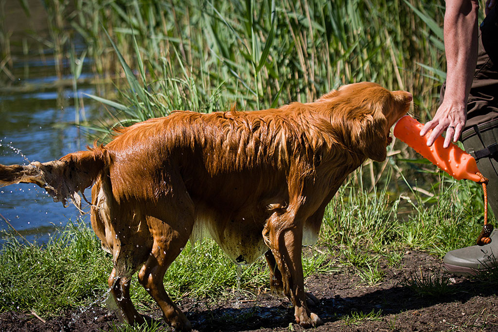 Edison gibt den Dummy aus und Stephan greift danach