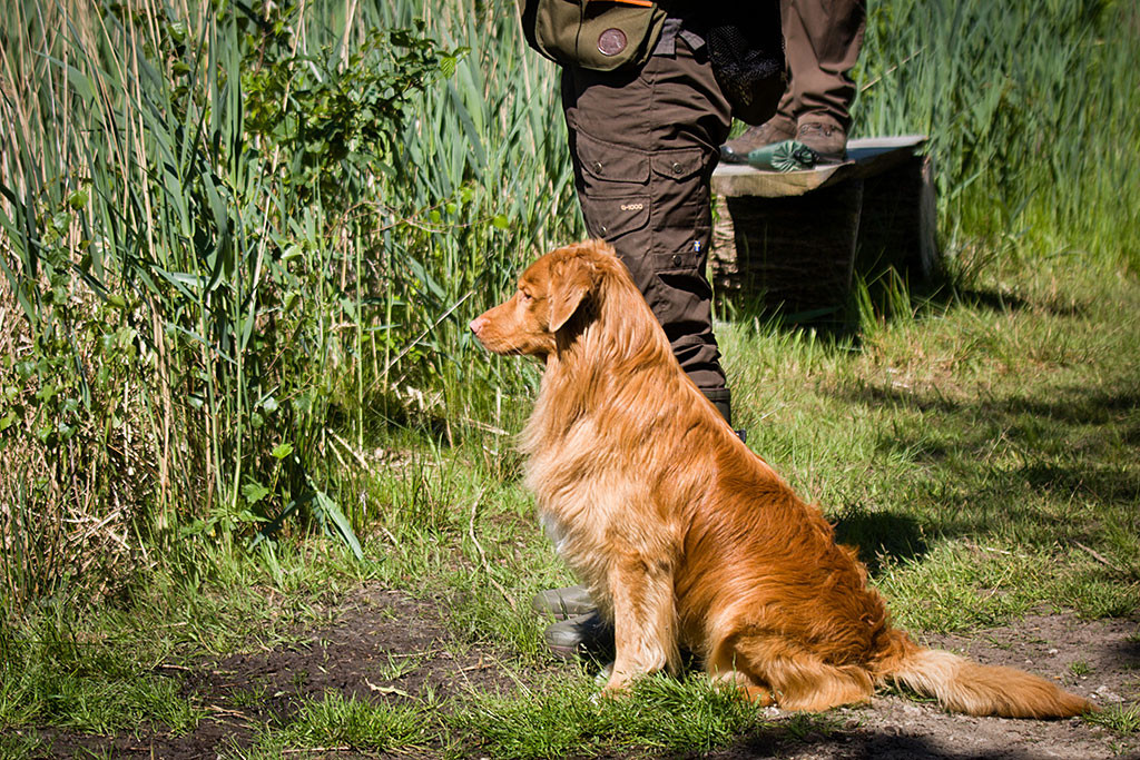 Edison sitzt neben Stephan und wartet auf seinen Einsatz