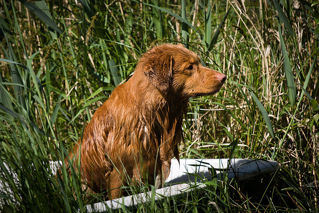 Edison sitzt im Ruderboot