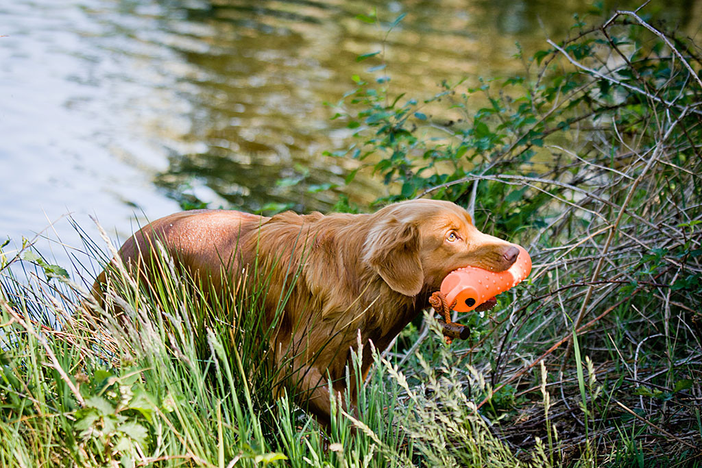 Edison steigt mit Dummy im Fang aus dem Wasser