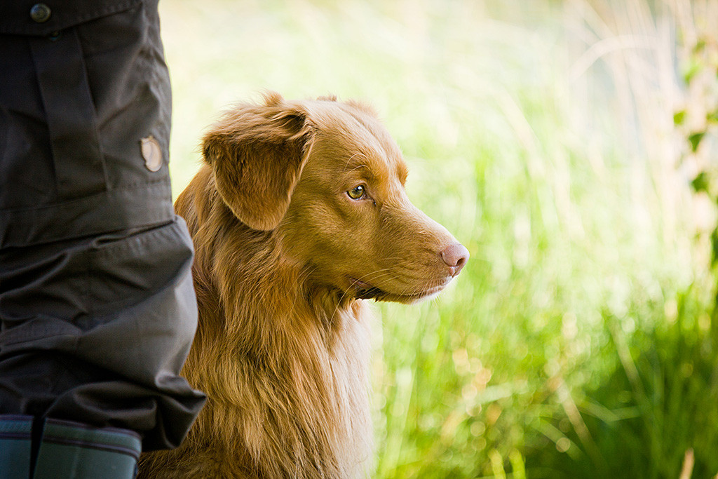 Edison sitzt neben Stephan und blickt fokussiert nach vorn