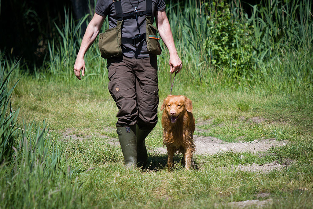 Edison läuft an Stephans Seite und freut sich auf seine nächste Aufgabe