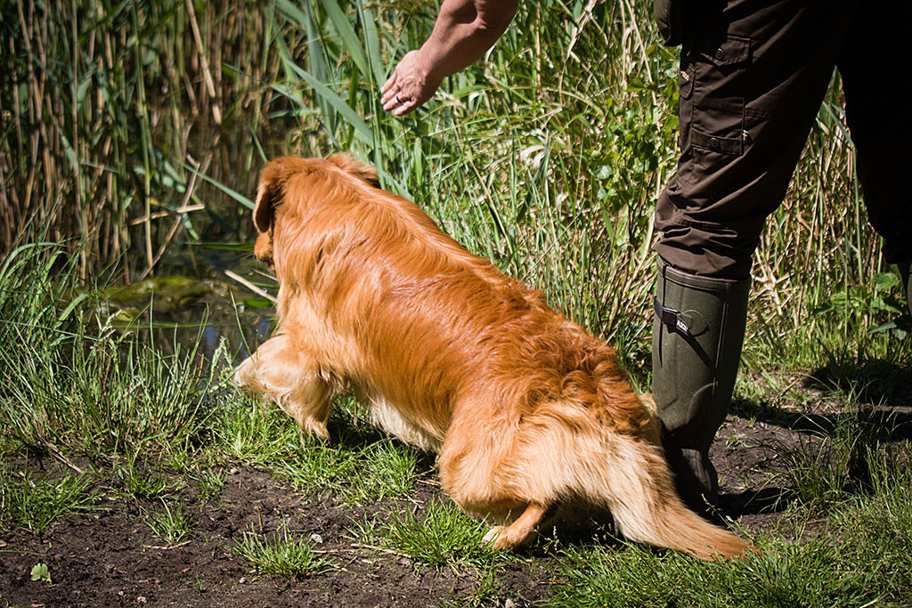 Edison wird von Stephan ins Wasser geschickt