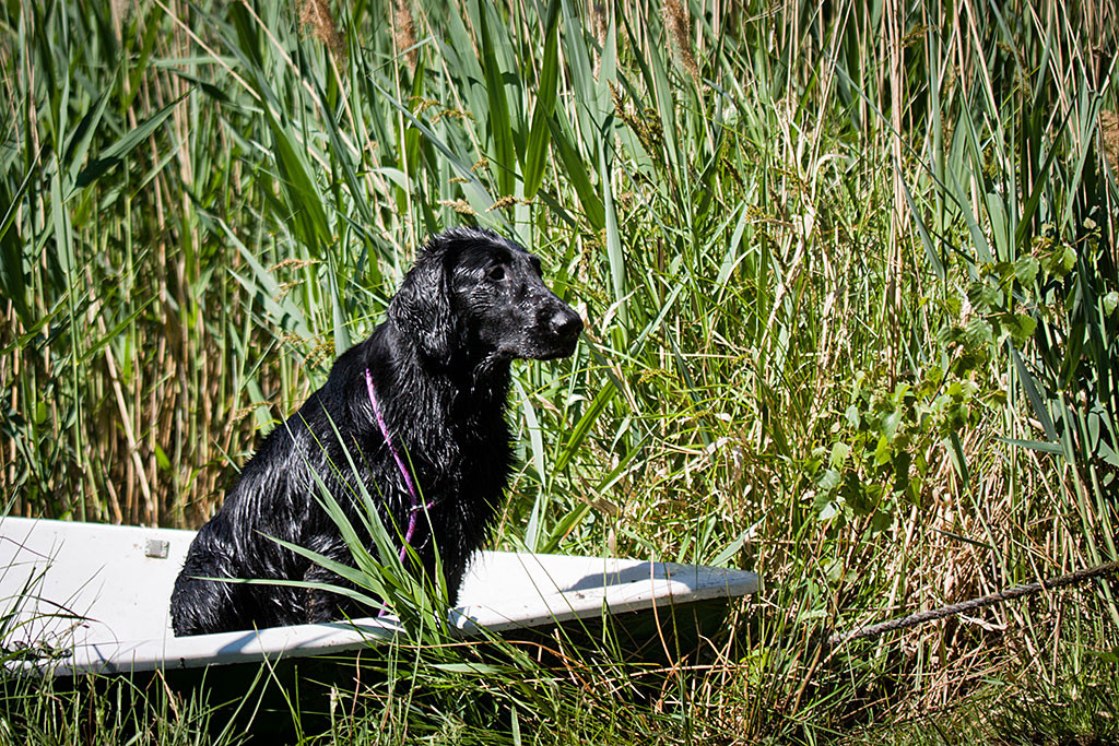 Ivy sitzt im Ruderboot