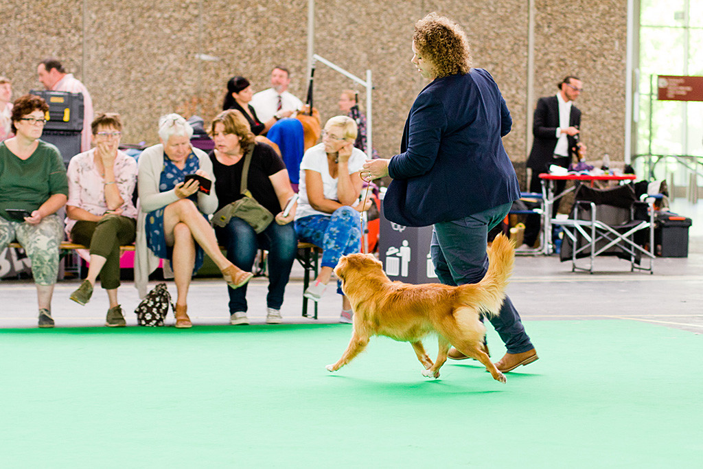 Gwenny fliegt an Kelly’s Seite durch den Ring