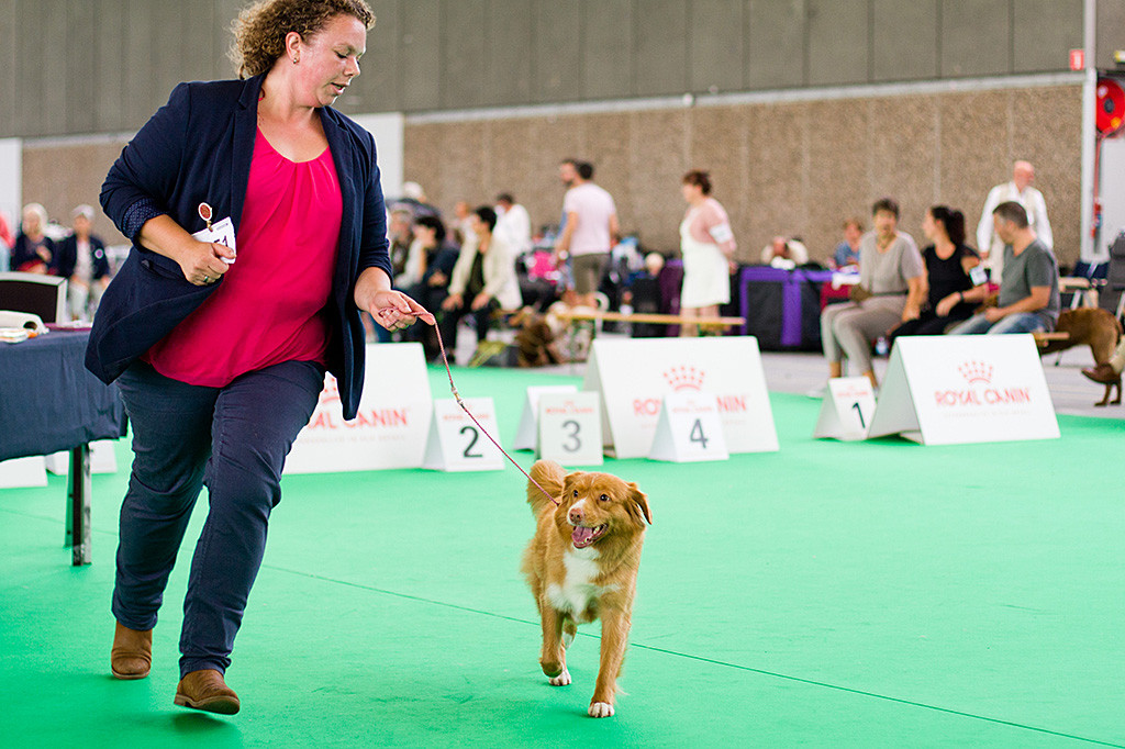 Gwenny läuft an Kelly’s Seite freudig durch den Ring