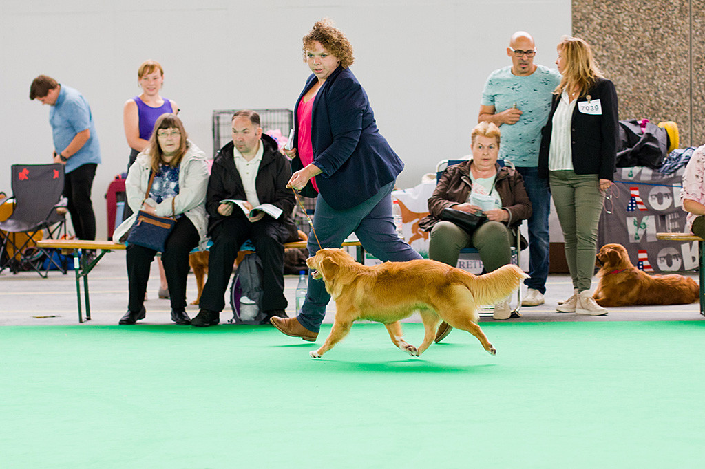 Edisons Tochter Keet fliegt an Kelly’s Seite durch den Ring, keine der vier Pfoten berühren dabei den Boden