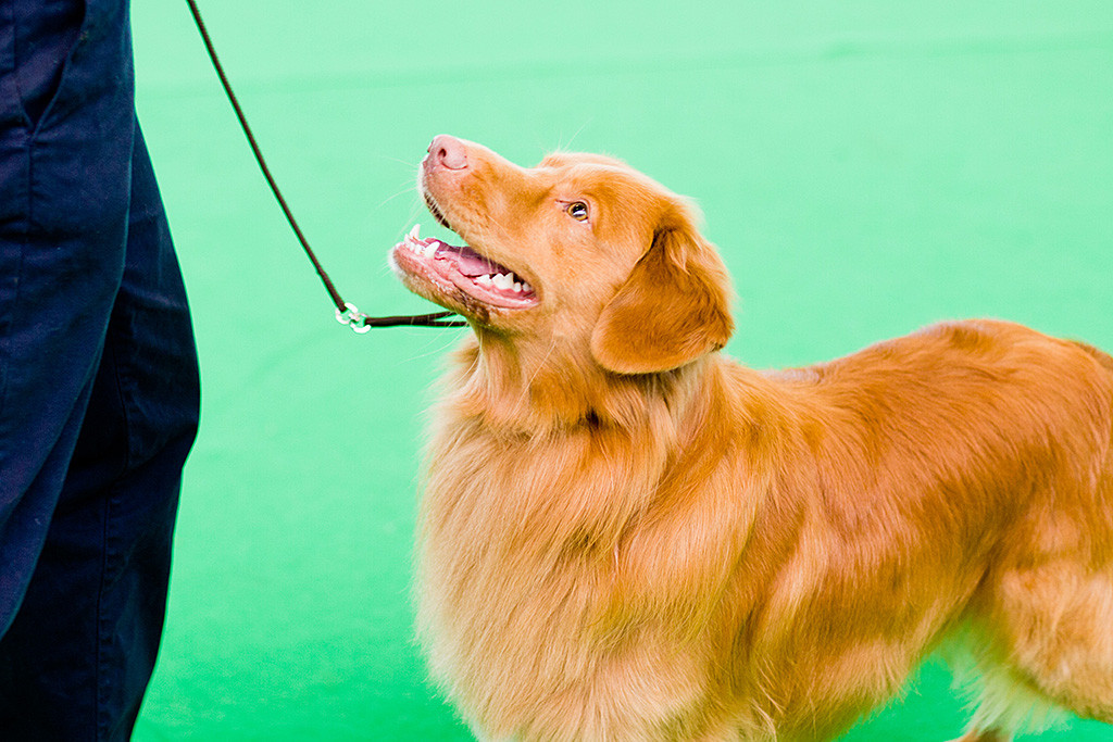 Edison steht vor Stephan und schaut lächelnd zu ihm hoch
