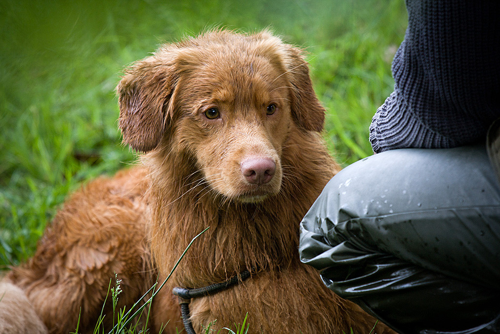 Edison schaut aufmerksam, was die anderen so machen