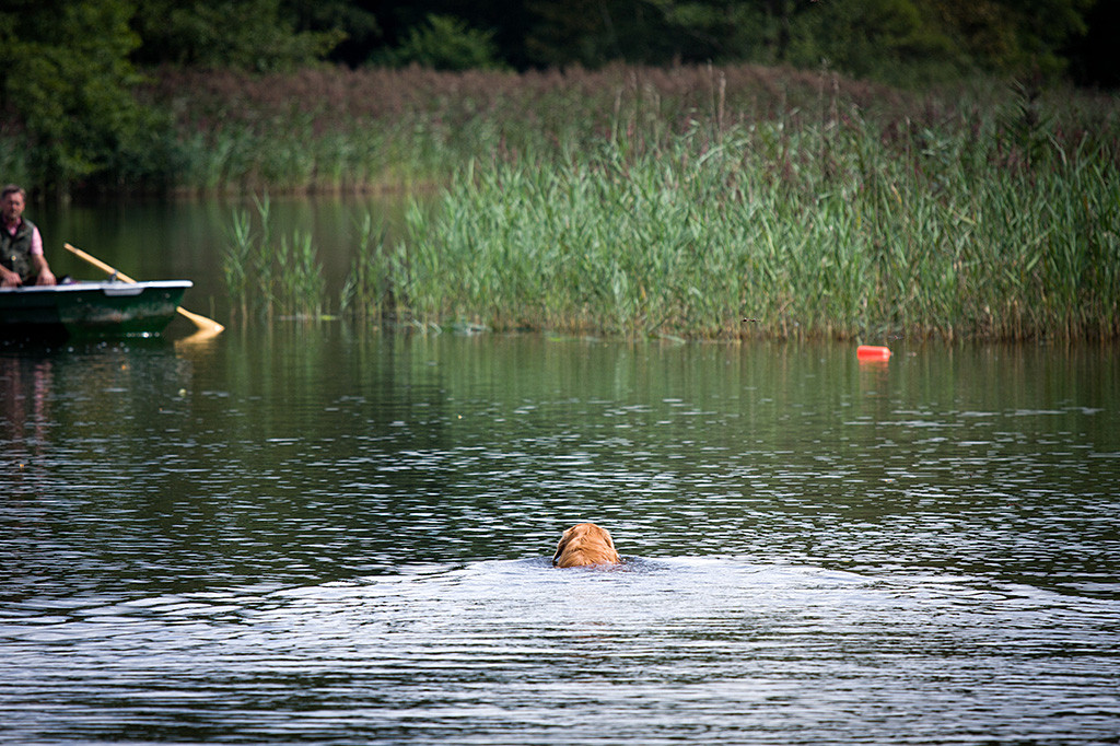 Edison peilt den Dummy an, der von Carsten aus dem Boot geworfen wurde