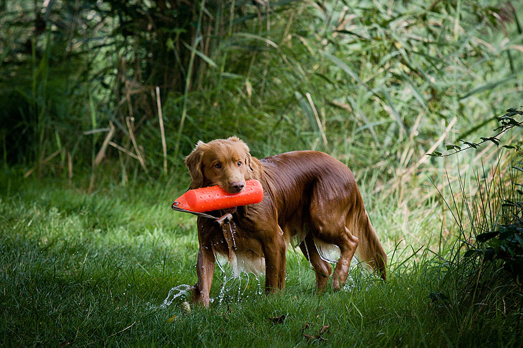 Edison steigt klitschnass mit Dummy im Fang aus dem Wasser